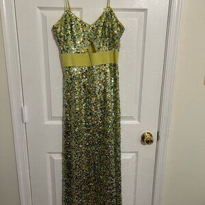 NWOT LDT Sequin Maxi Dress in Green and Gold